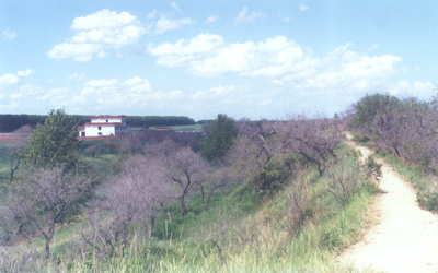 八里城遗址
