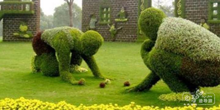 世纪公园-疏林草坪区