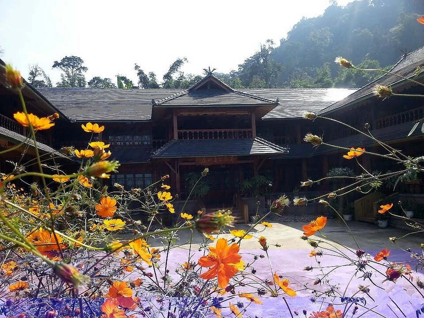 布朗公主客栈