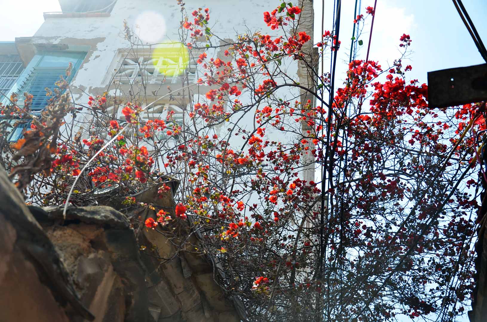 建水禾沐小苑客栈