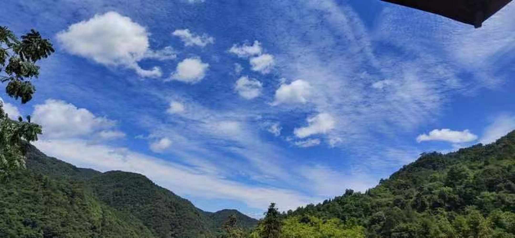 隐仙百草堂民宿(武当山景区店)