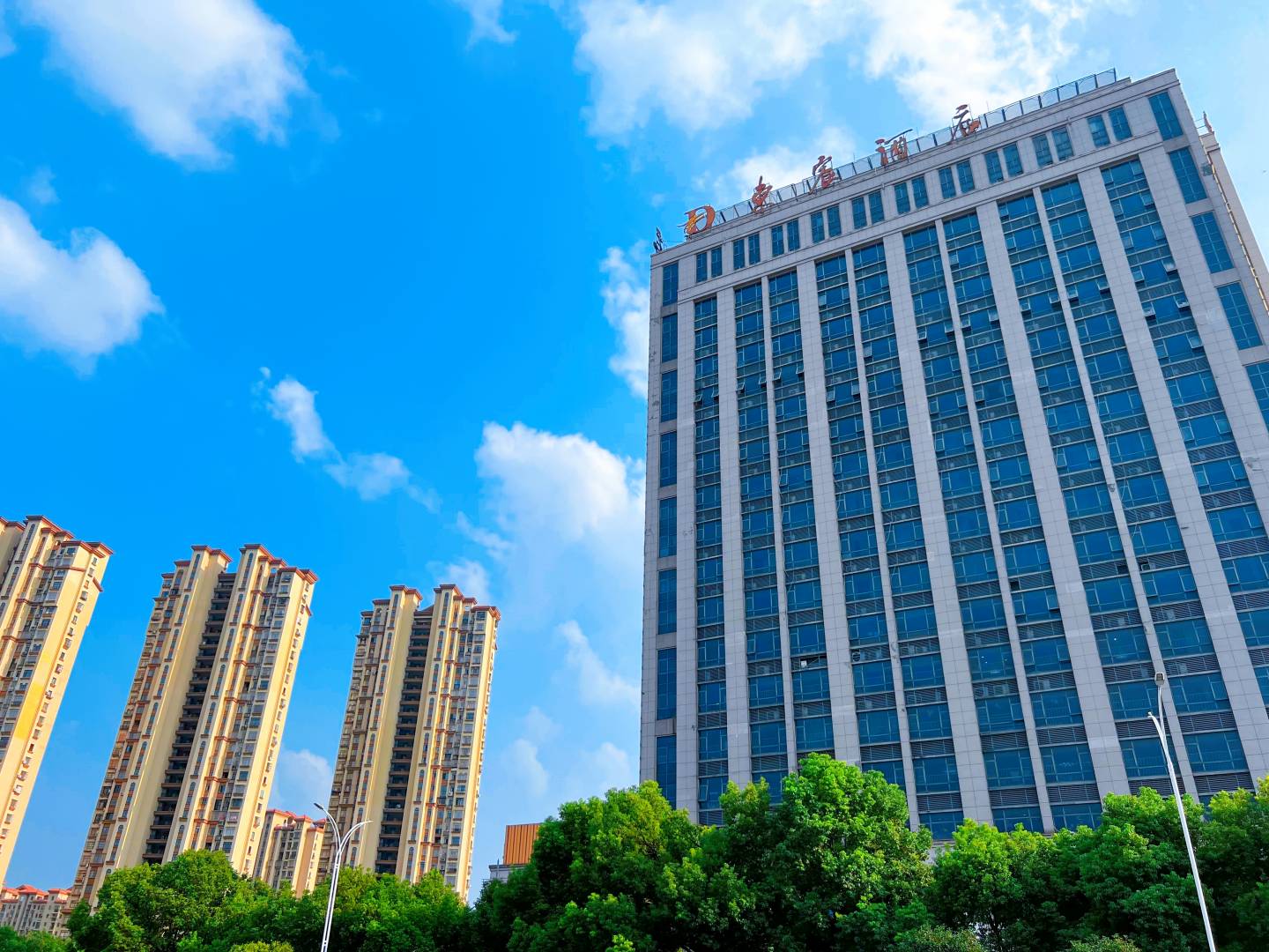 东宸大店(铜陵万达广场火车站店)