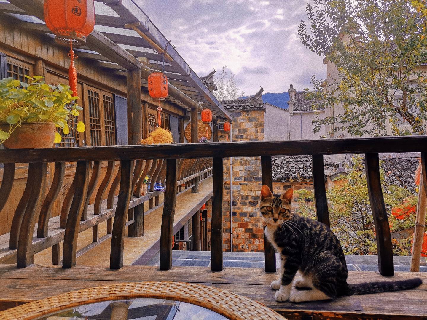 宏村舍得园客栈栈(宏村景区店)