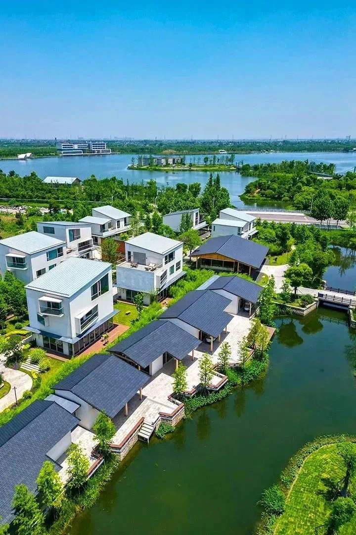 嘉兴飞鸟集丨万棵银杏·千亩湖域·篝火露营·音乐现场·度假民宿