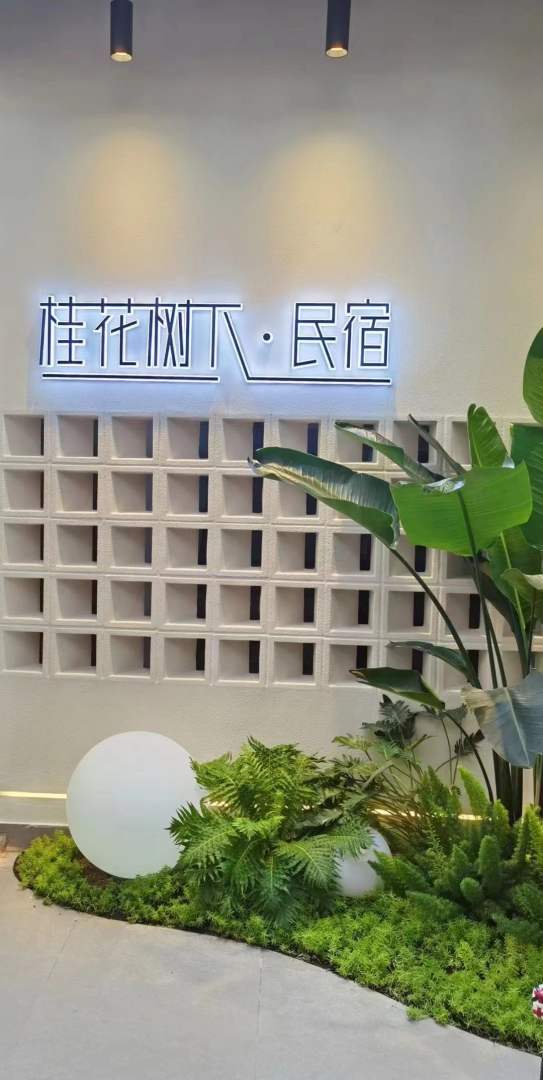 桂花树下民宿客栈