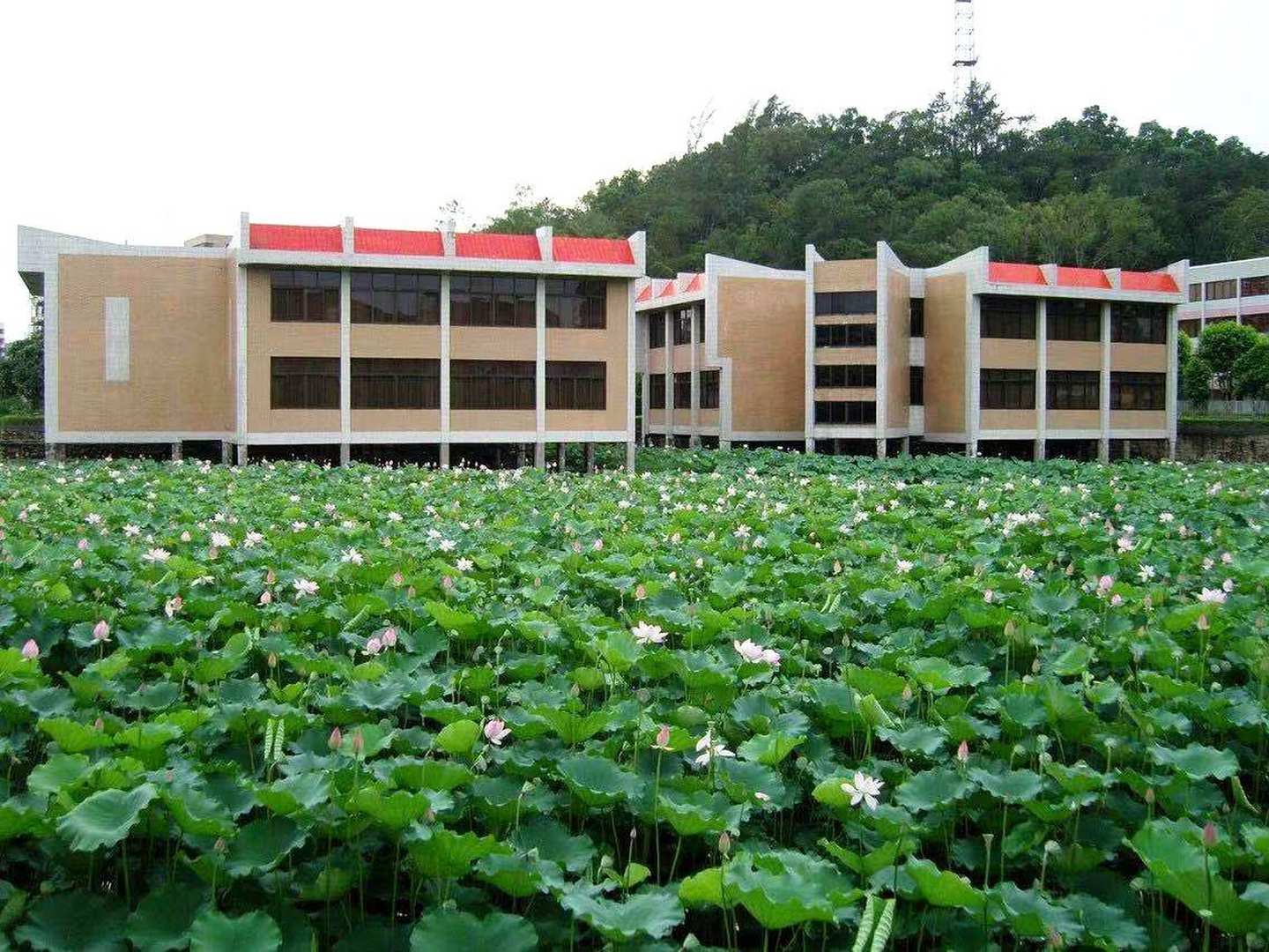 台山园林酒店