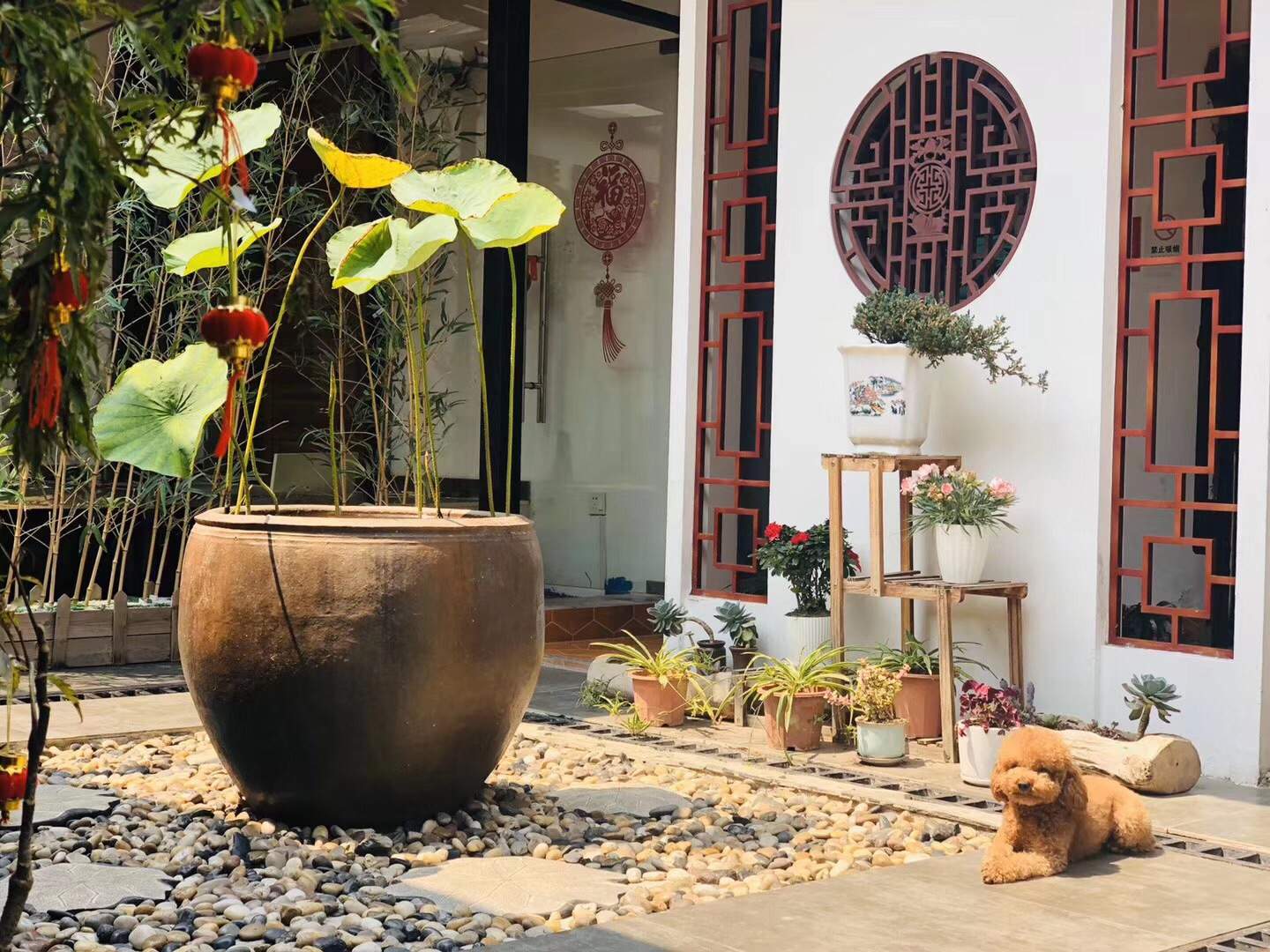潮州亦茶亦舍客栈(原金聚轩客栈)