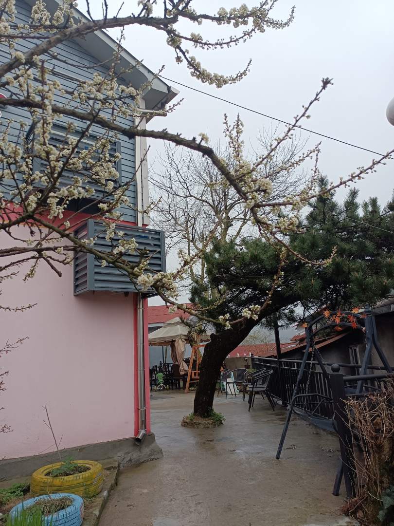 庐山隐居民宿(庐山风景区内店)
