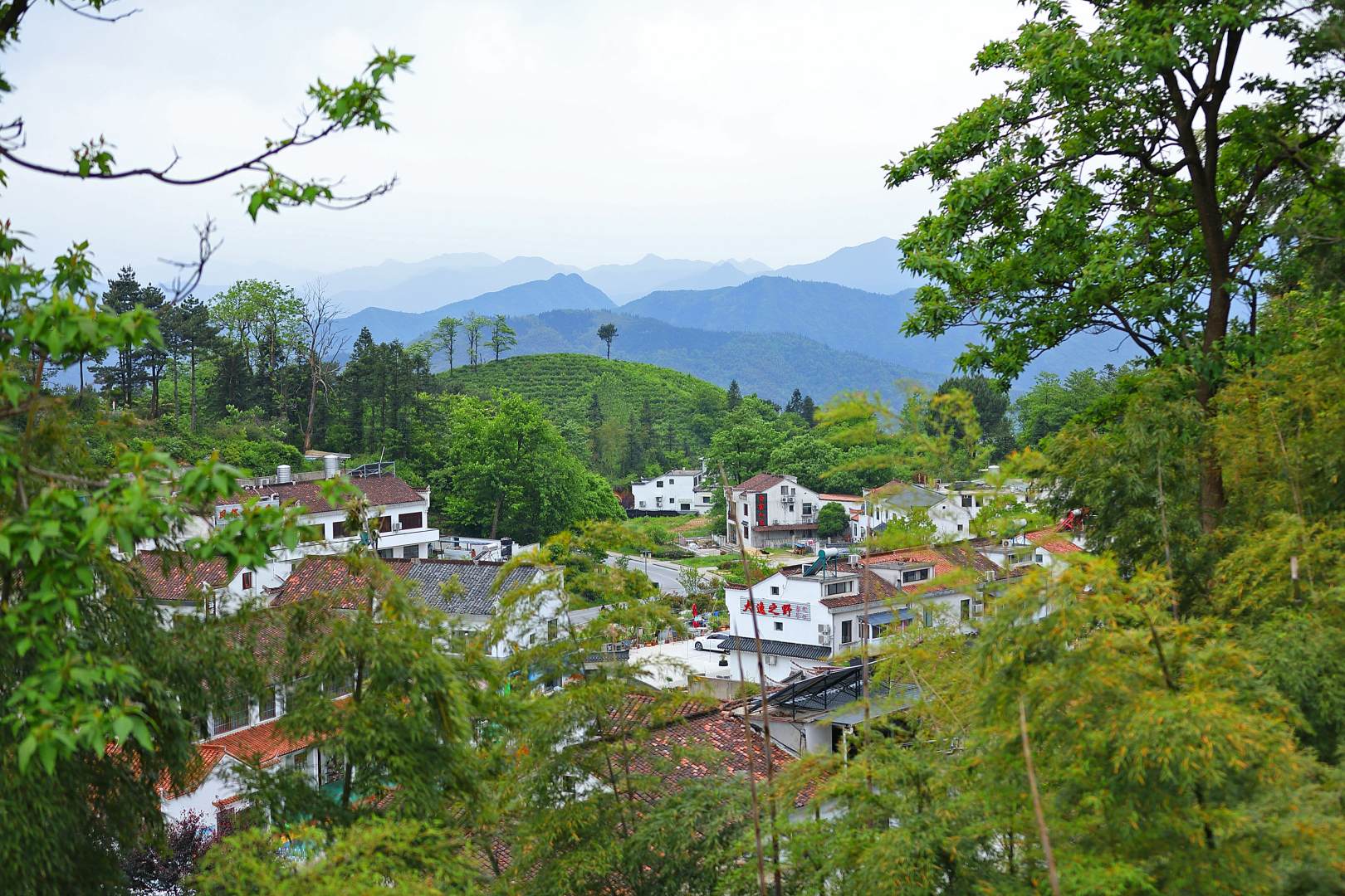 九华山柏林民宿