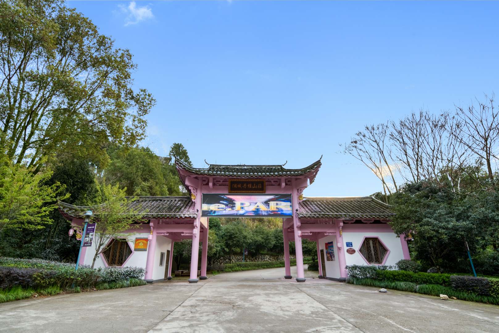 丹桂国际大九点