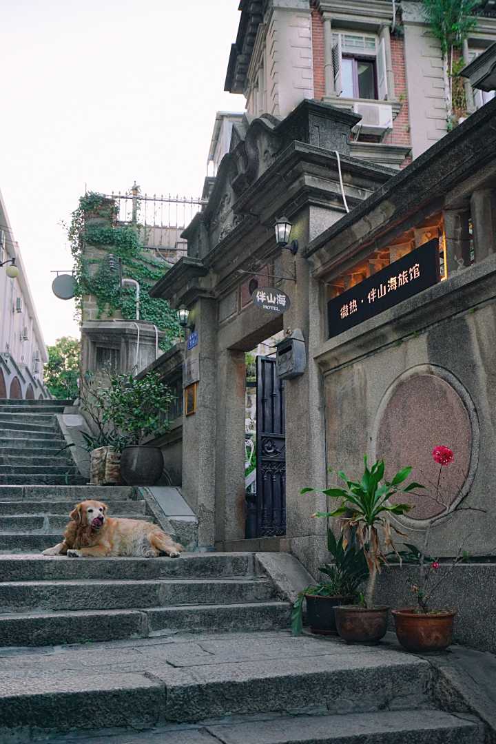 鼓浪屿微热·伴山海旅馆