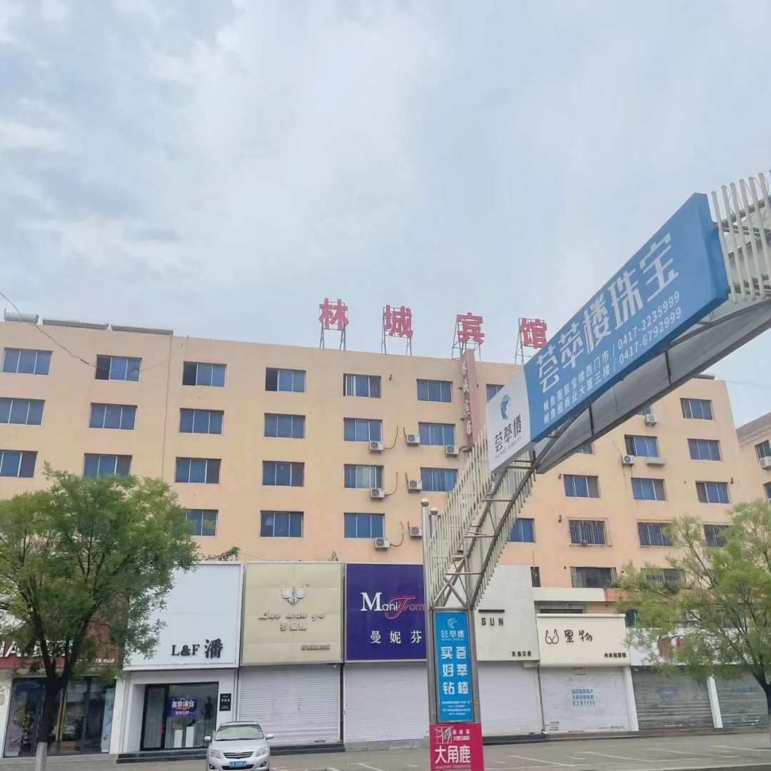 林城宾馆(淮河路店)