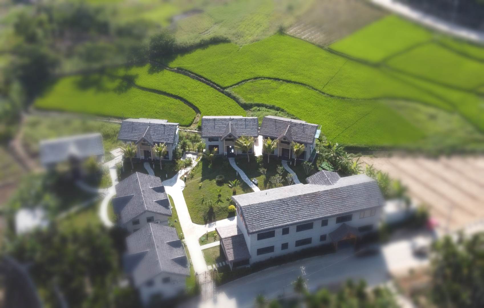 五指山红雅民宿