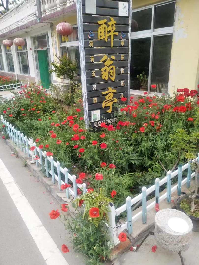 五莲醉翁亭客栈