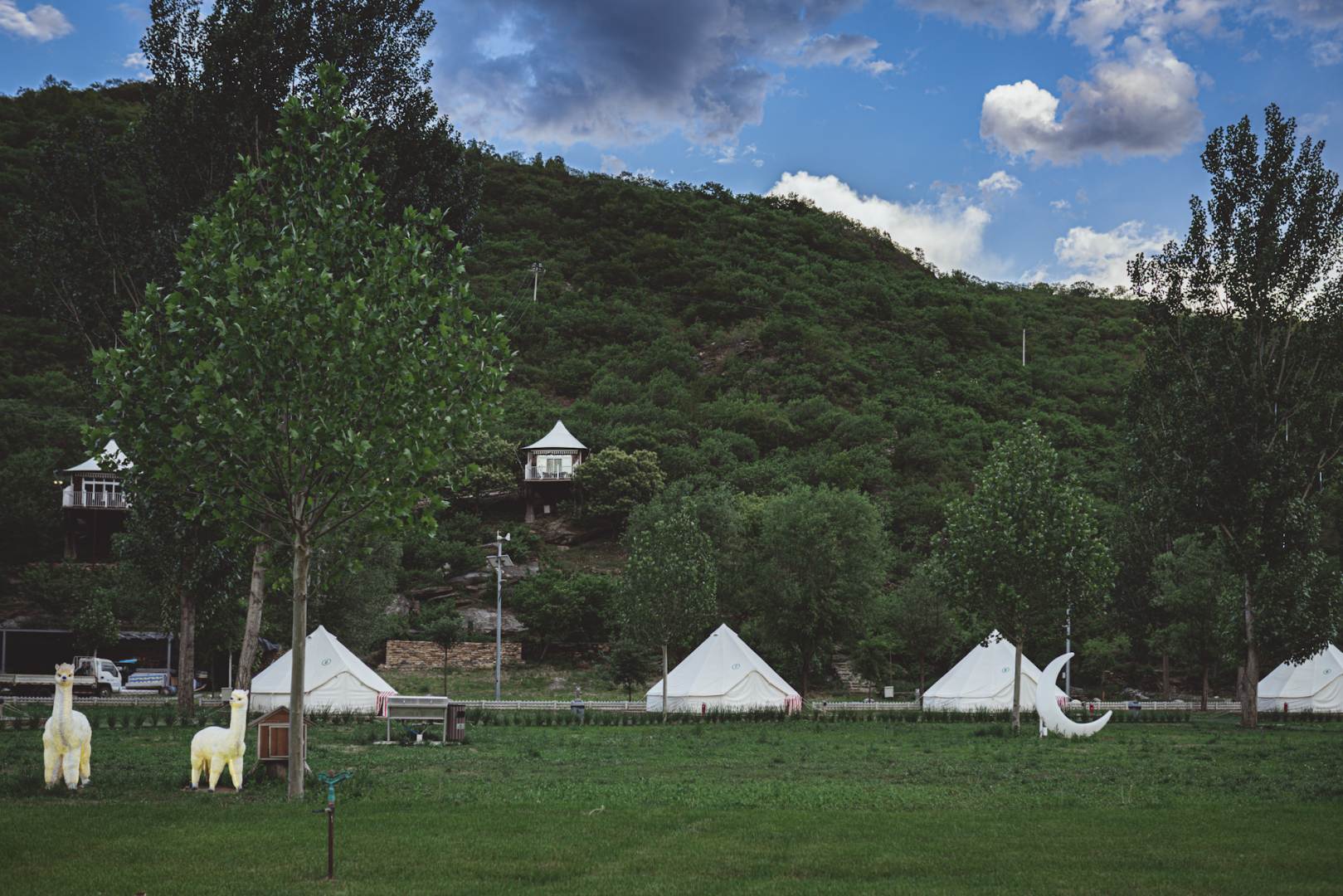 白鸟亲子萌宠营地