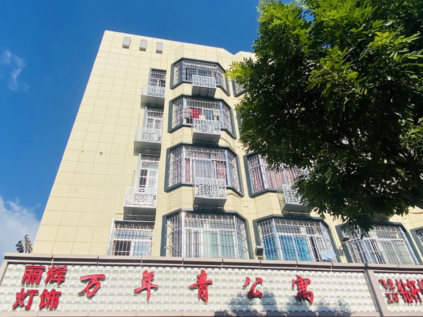 万年青公禺