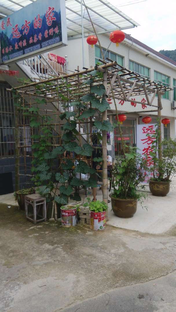 涇縣愛(ài)民遠方的家農家樂(lè )飯店