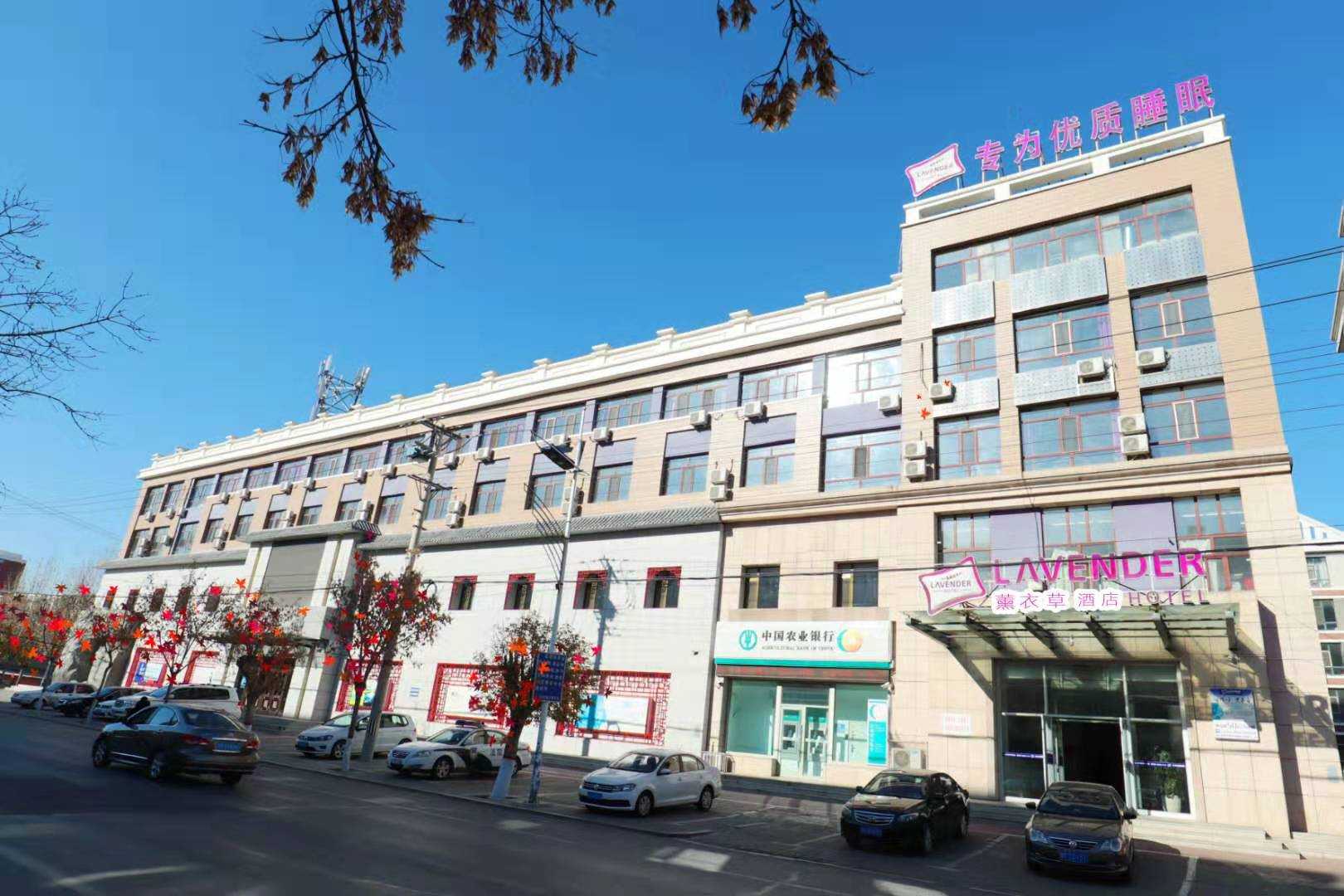 薰衣草酒店(镇赉店)