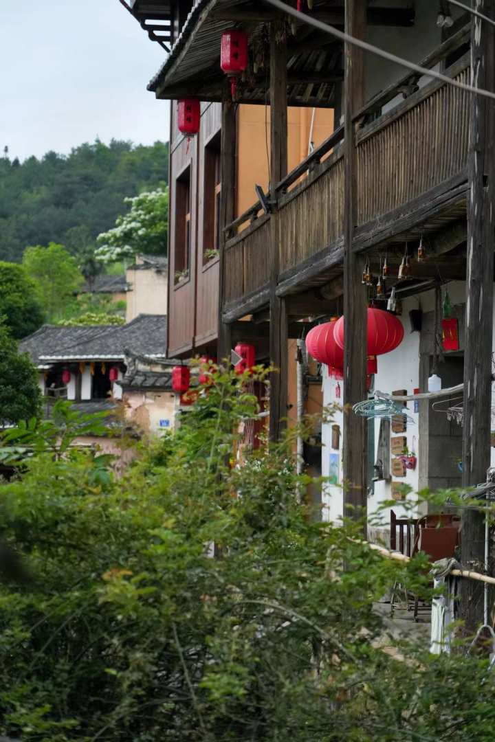 尤溪随院民宿