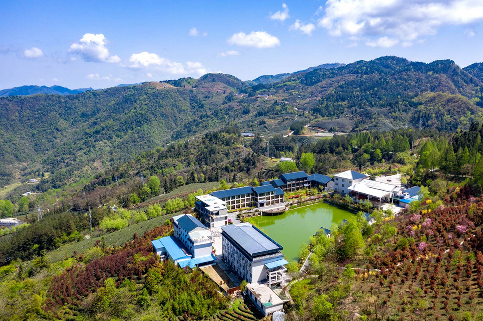 龙王垭养生山庄
