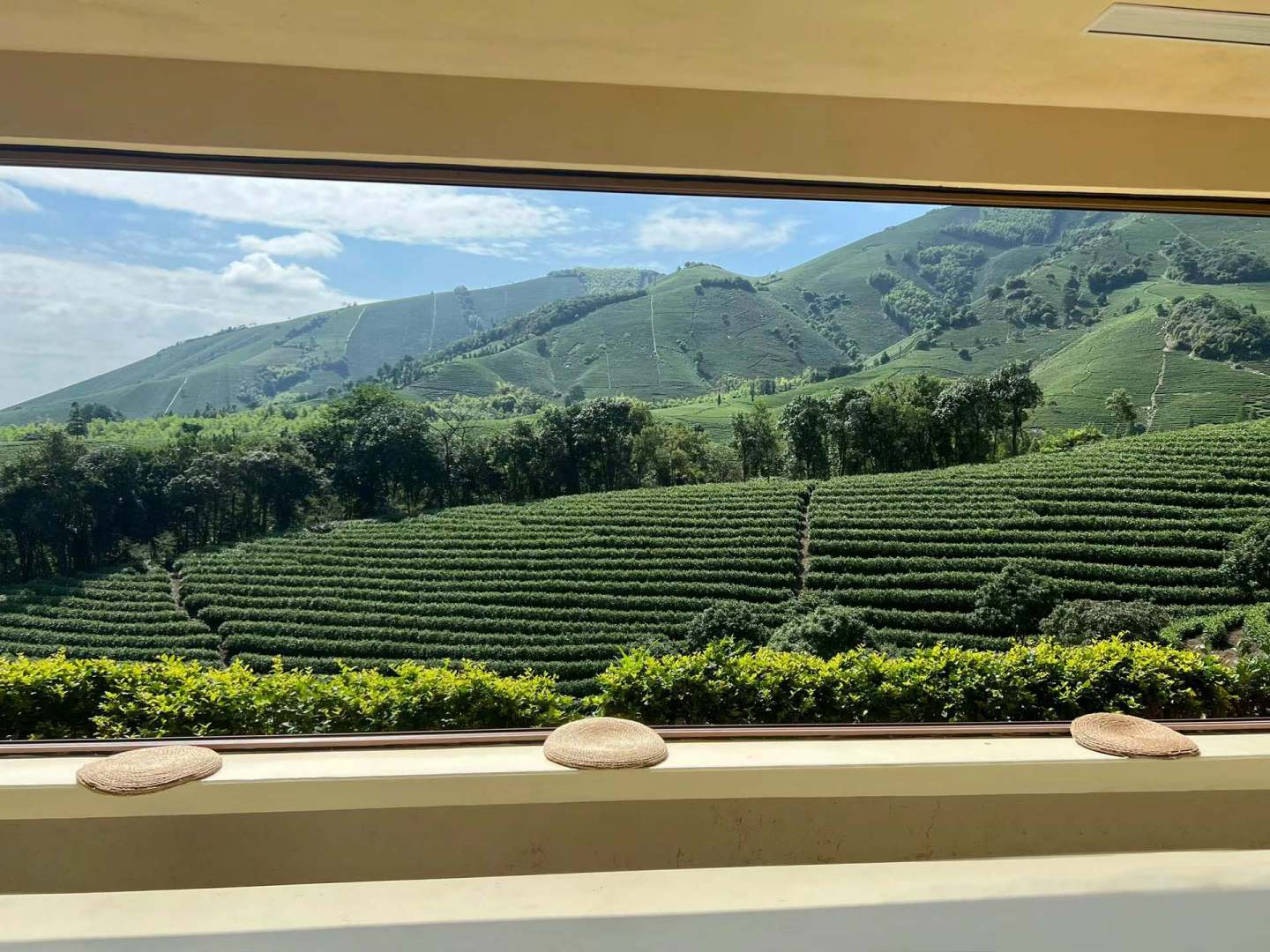 树下小白屋·小羊肖恩主题民宿(白茶观景平台店)