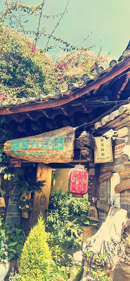 甜蜜八月·设计师森系概念花园客栈(丽江古城保护民居店)