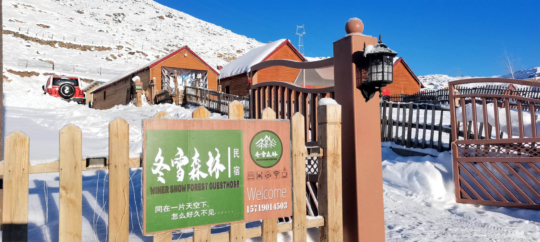 冬雪森林