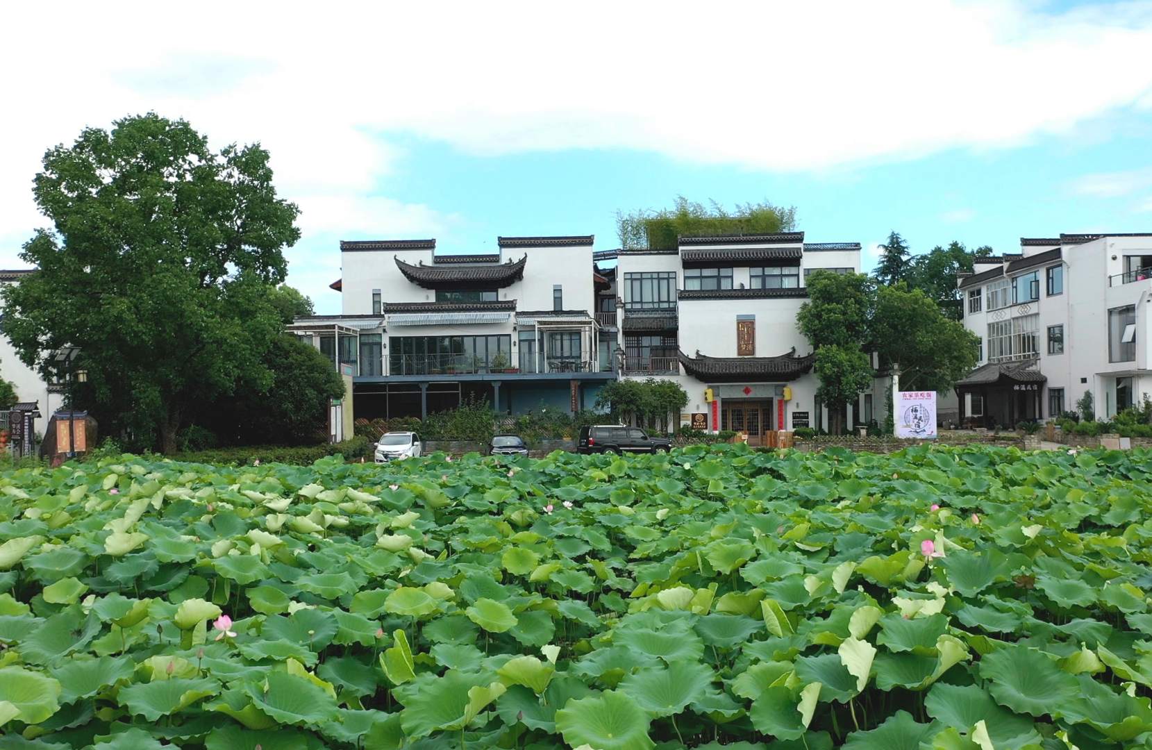 黄山梦溪方会设计收藏九点(西溪南古村落店)