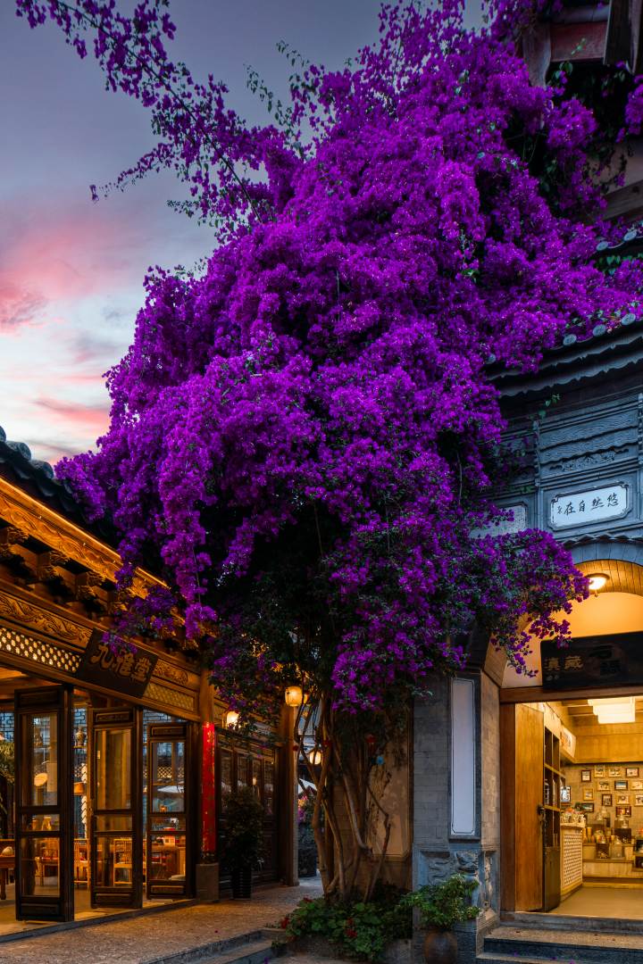 丽江山水爱斯酒店(七一街崇仁巷店)