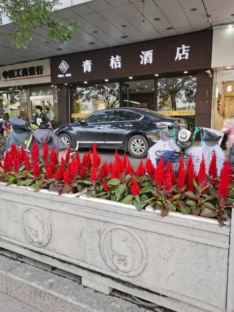 徐州青桔酒店(徐州医科大附属医院地铁站苏宁广场店)