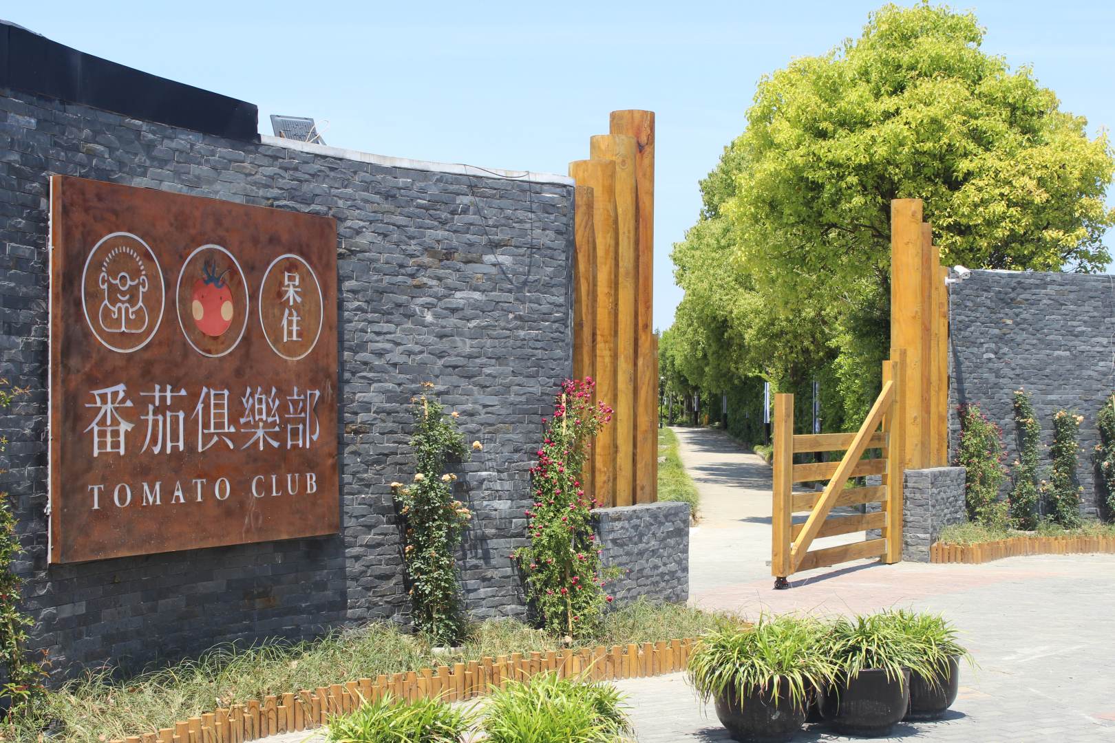 启东呆住番茄俱乐部