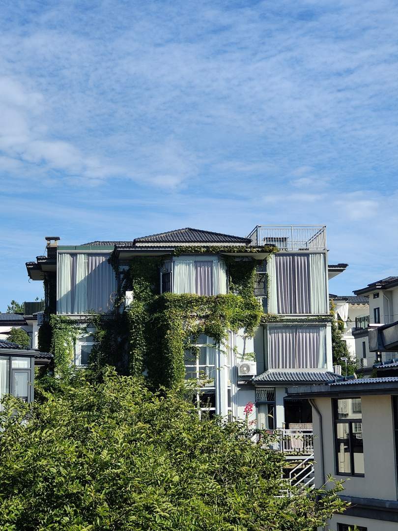 武夷山云上拈话文艺沙龙主题民宿