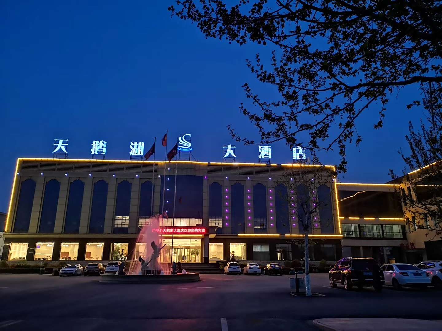 天鹅湖大酒店(建新南街店)