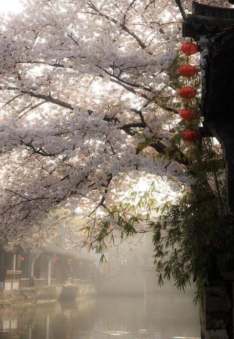 西塘路引临河民宿