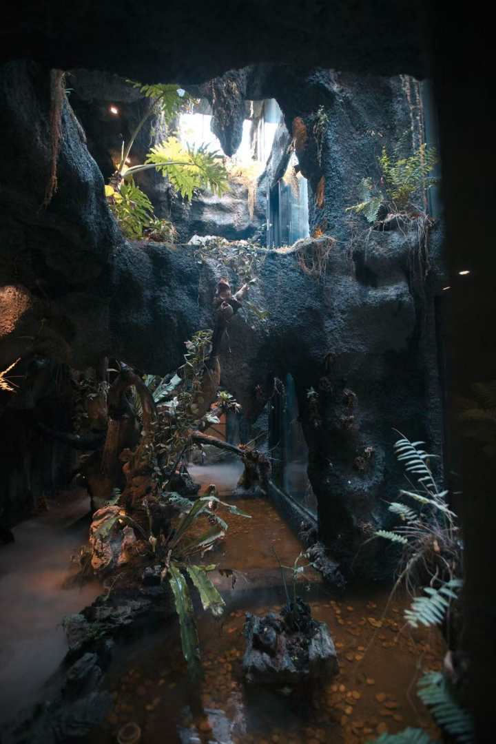 语溪圣景生态民宿(南岳大庙景区店)