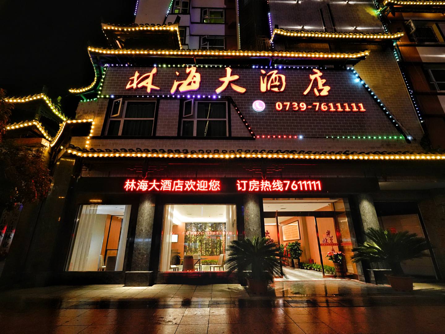 绥宁林海大酒店(东正路店)