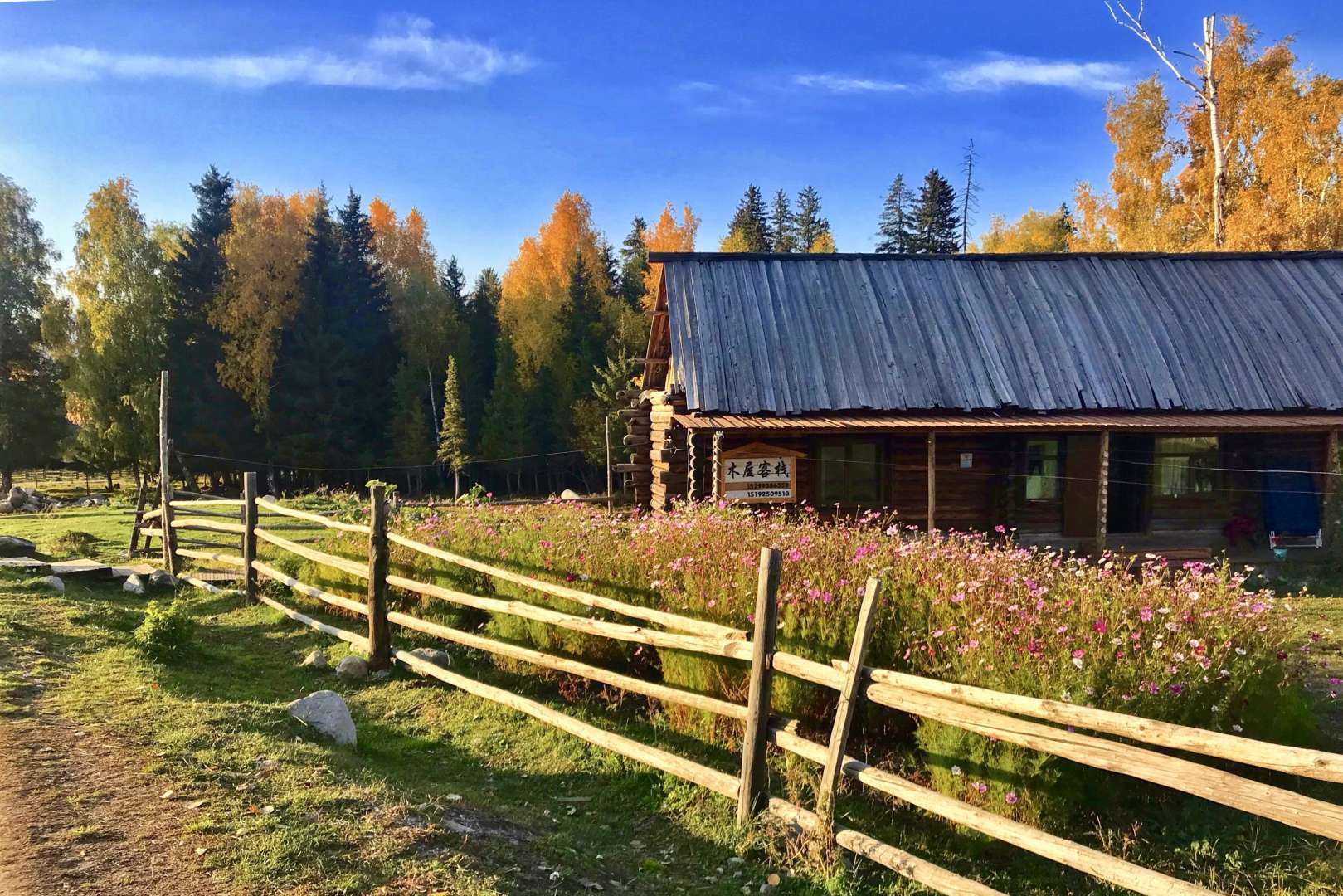 白哈巴木屋客栈