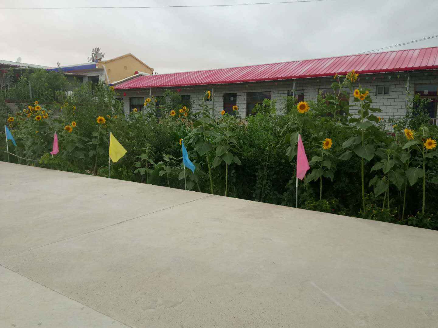 悦宾家园