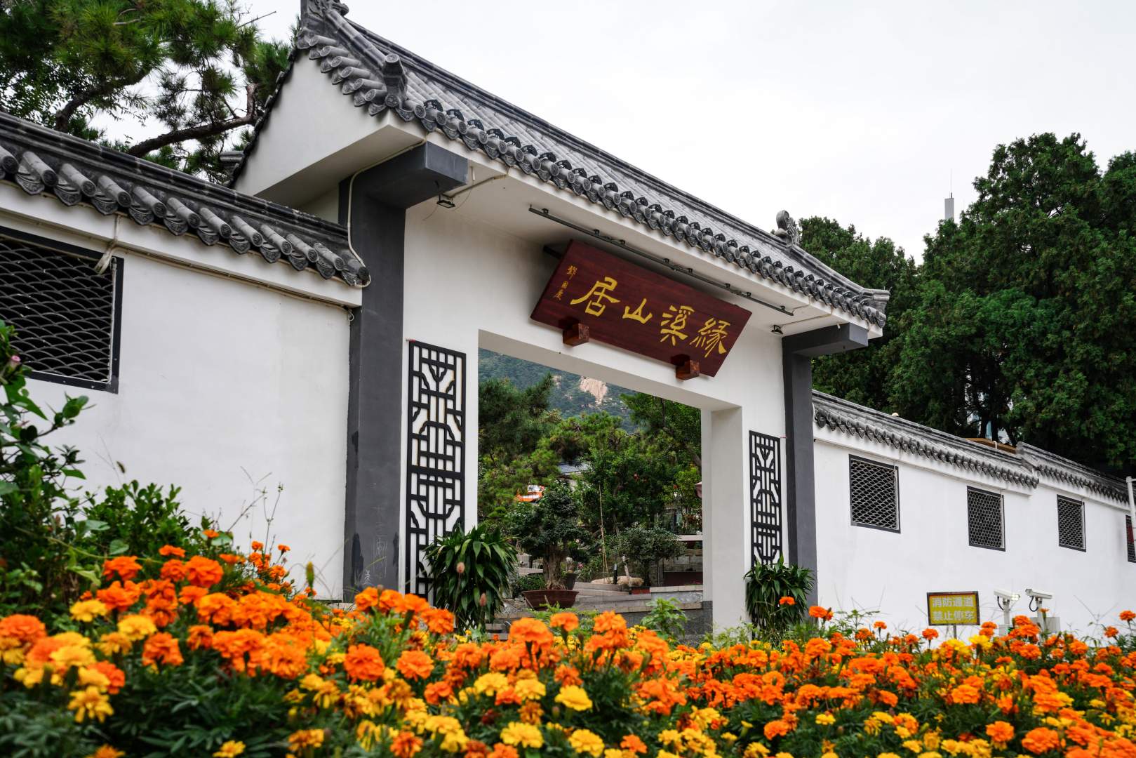 缘溪山居客栈(泰山桃花峪登山口店)