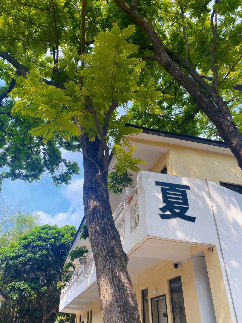 台山青云山房民宿