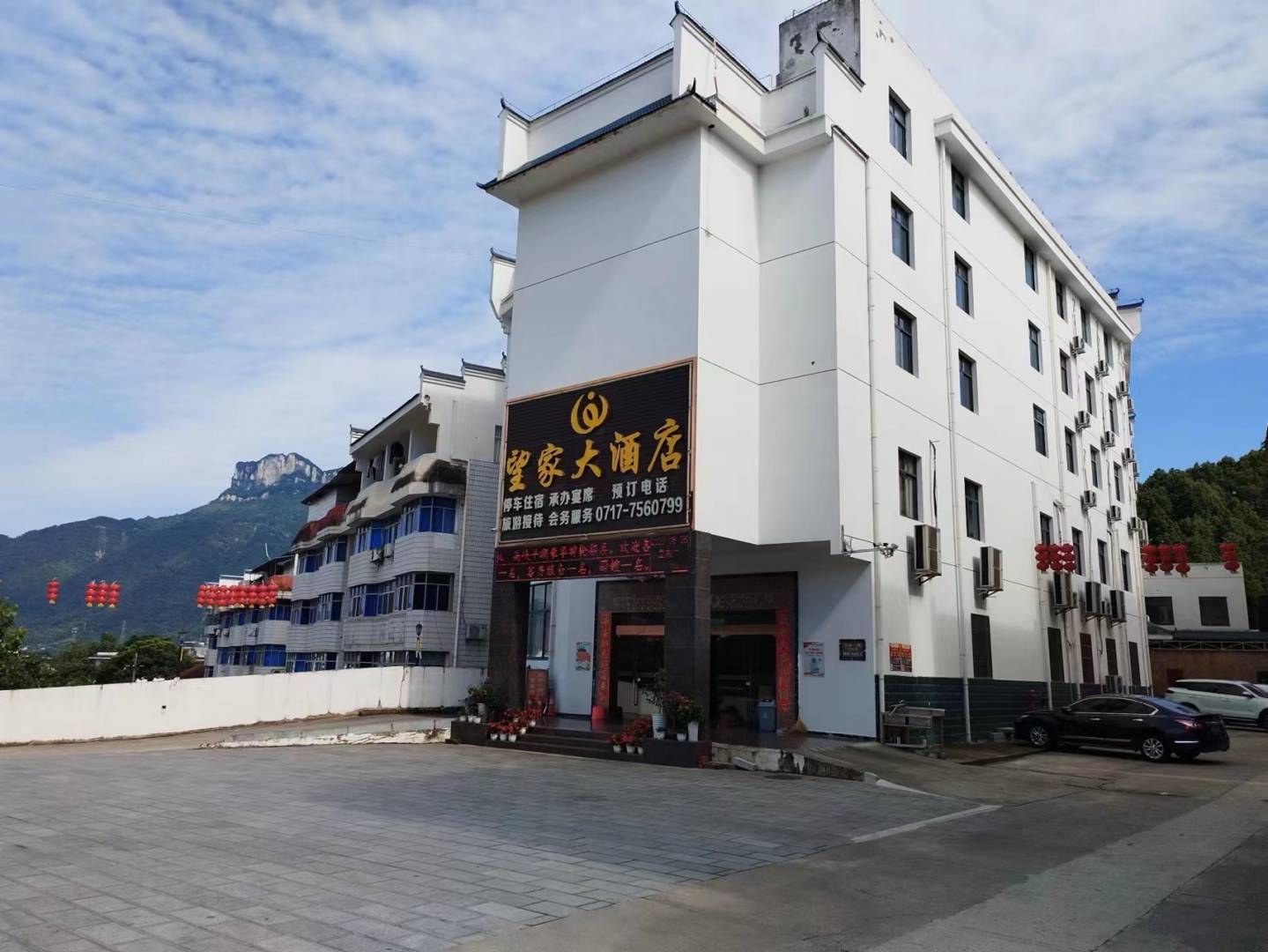 望家大酒店