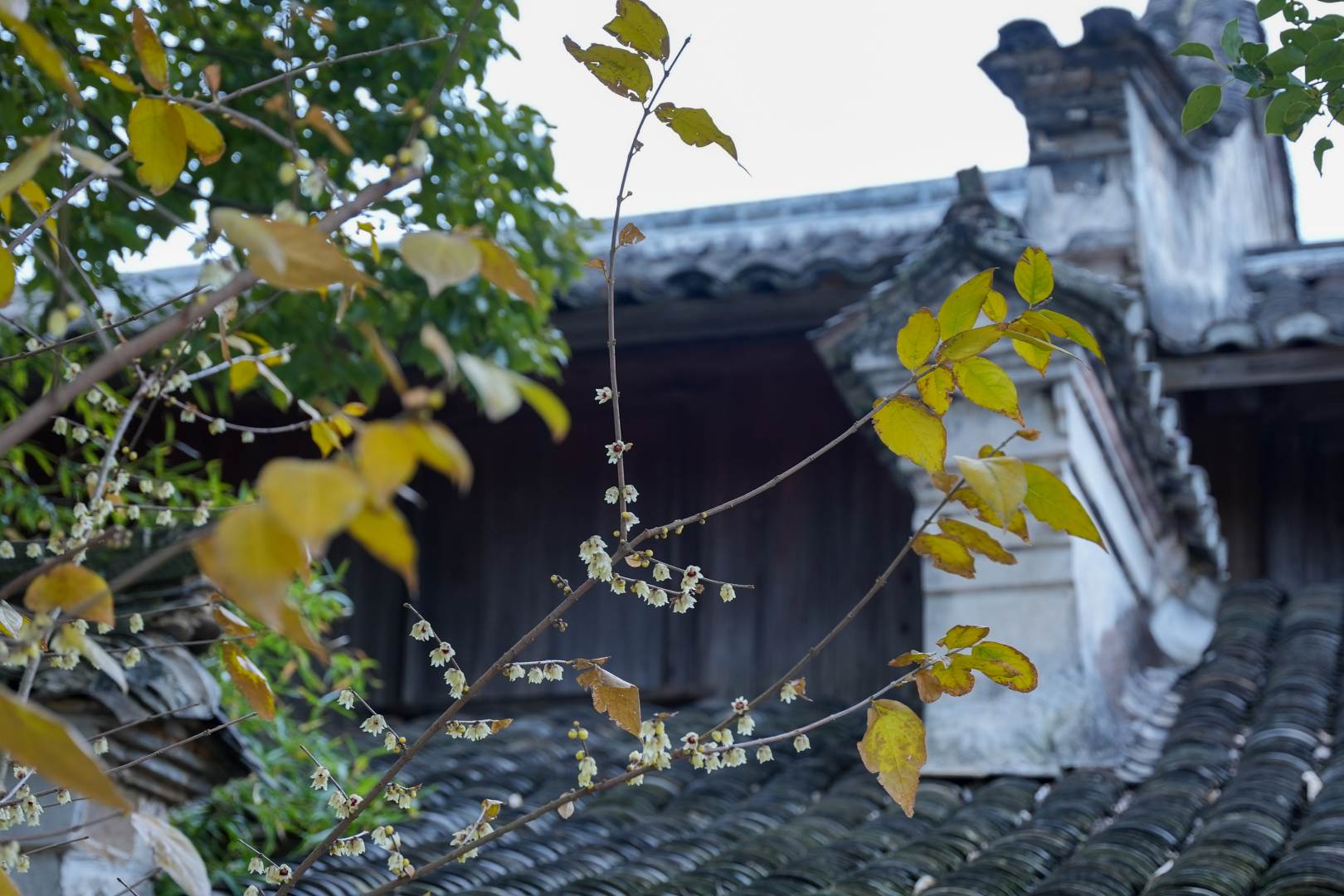 圃舍溪里方田园美宿(宁波象山店)