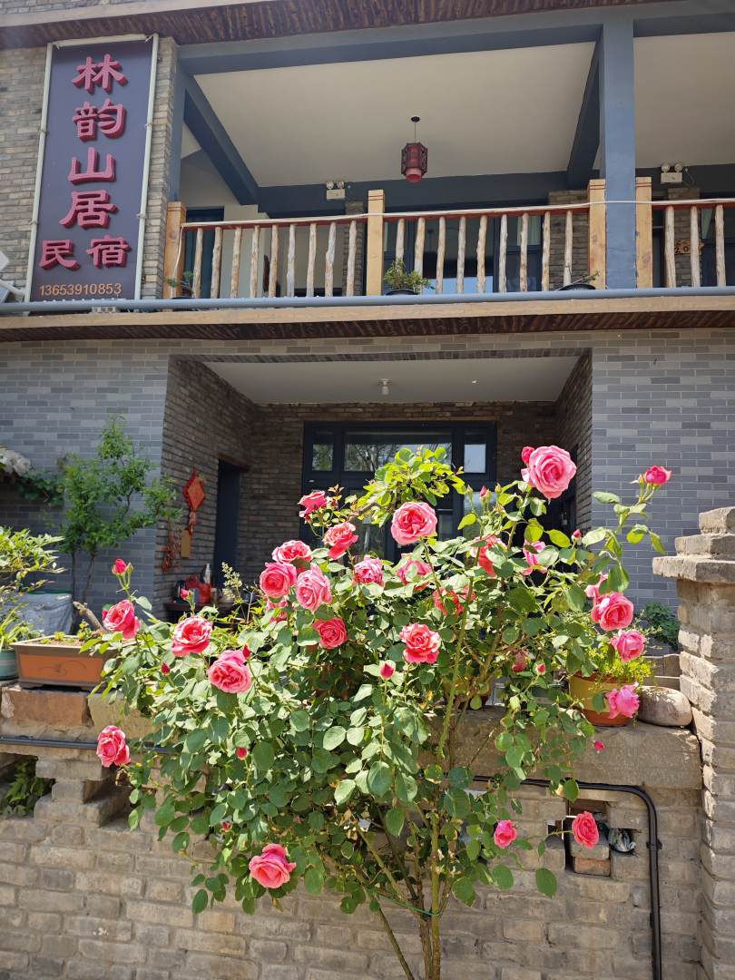 王屋山林韵山居民宿