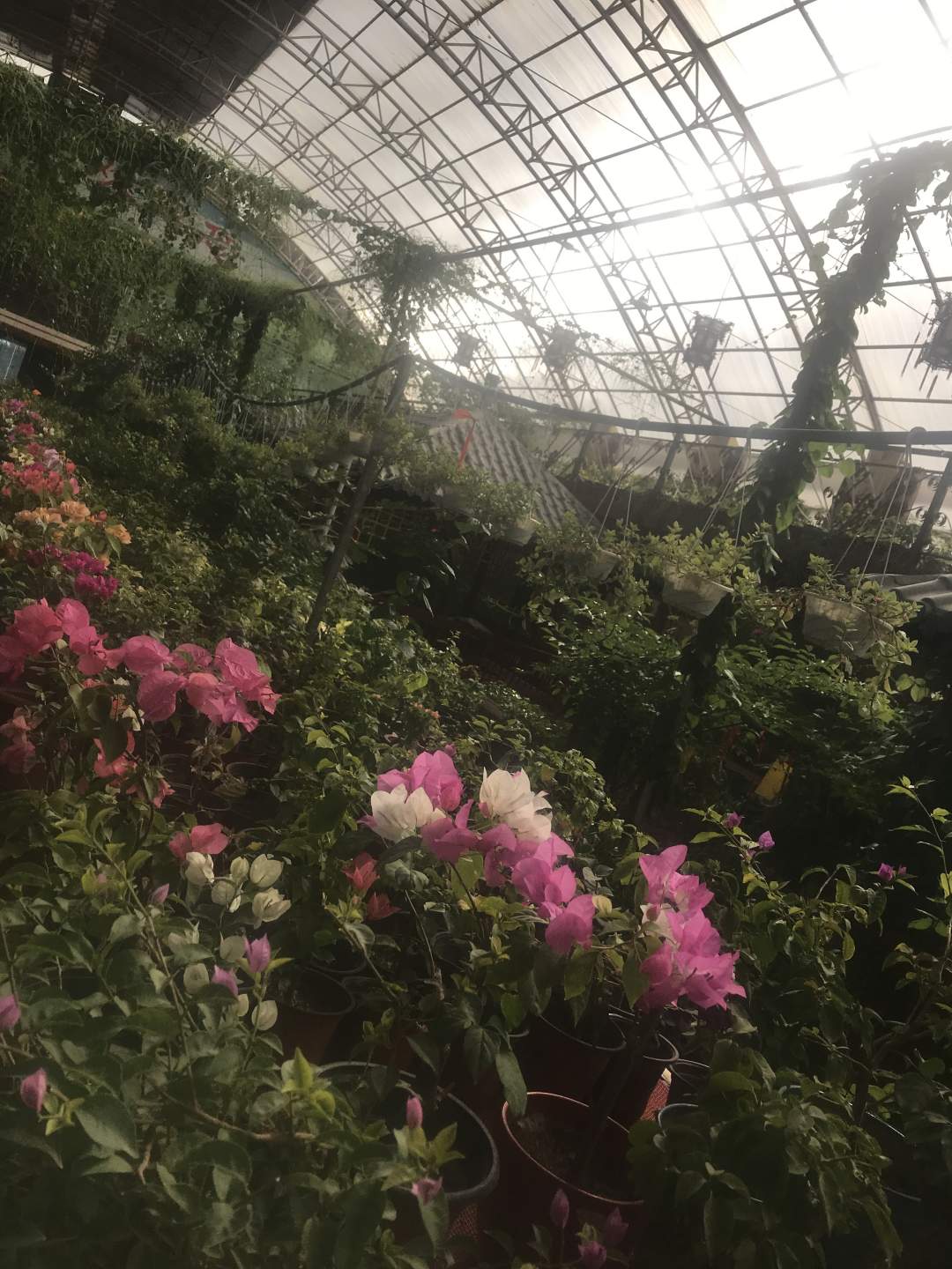 嘉峪关阳光绿岛生态酒店