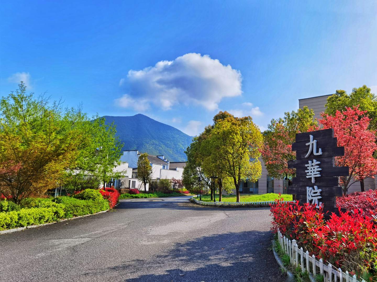 九华院子独家别墅