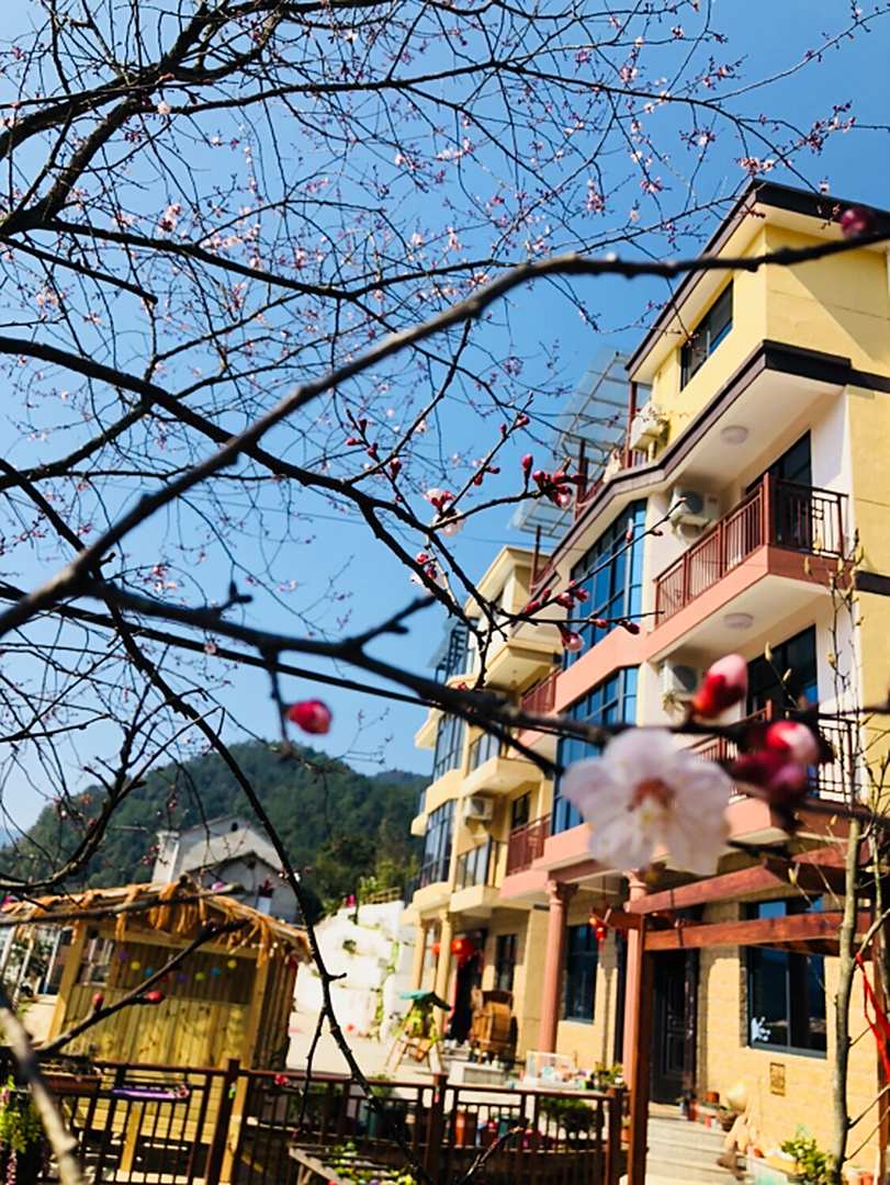 淳安县千寻民居(中架线3号分店)