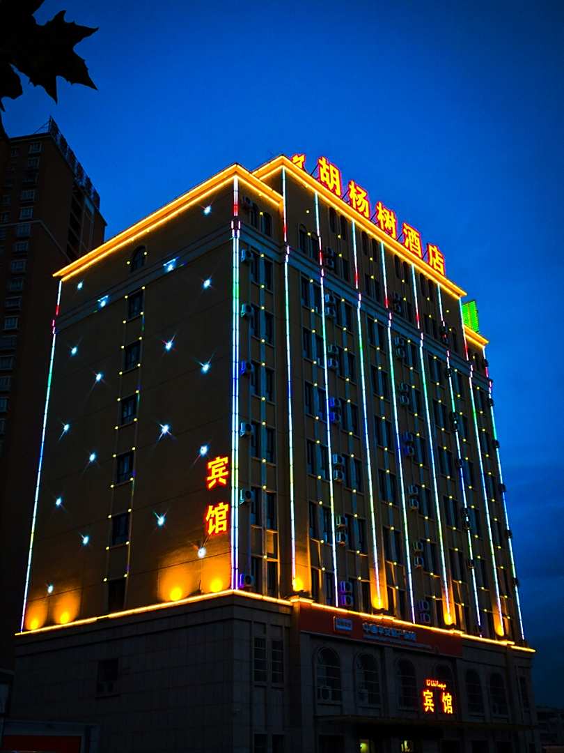 阿克苏胡杨树酒店