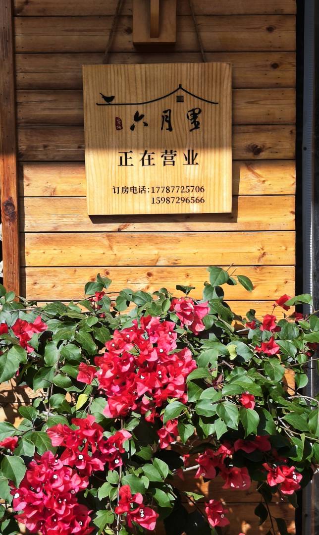 抚仙湖六月里