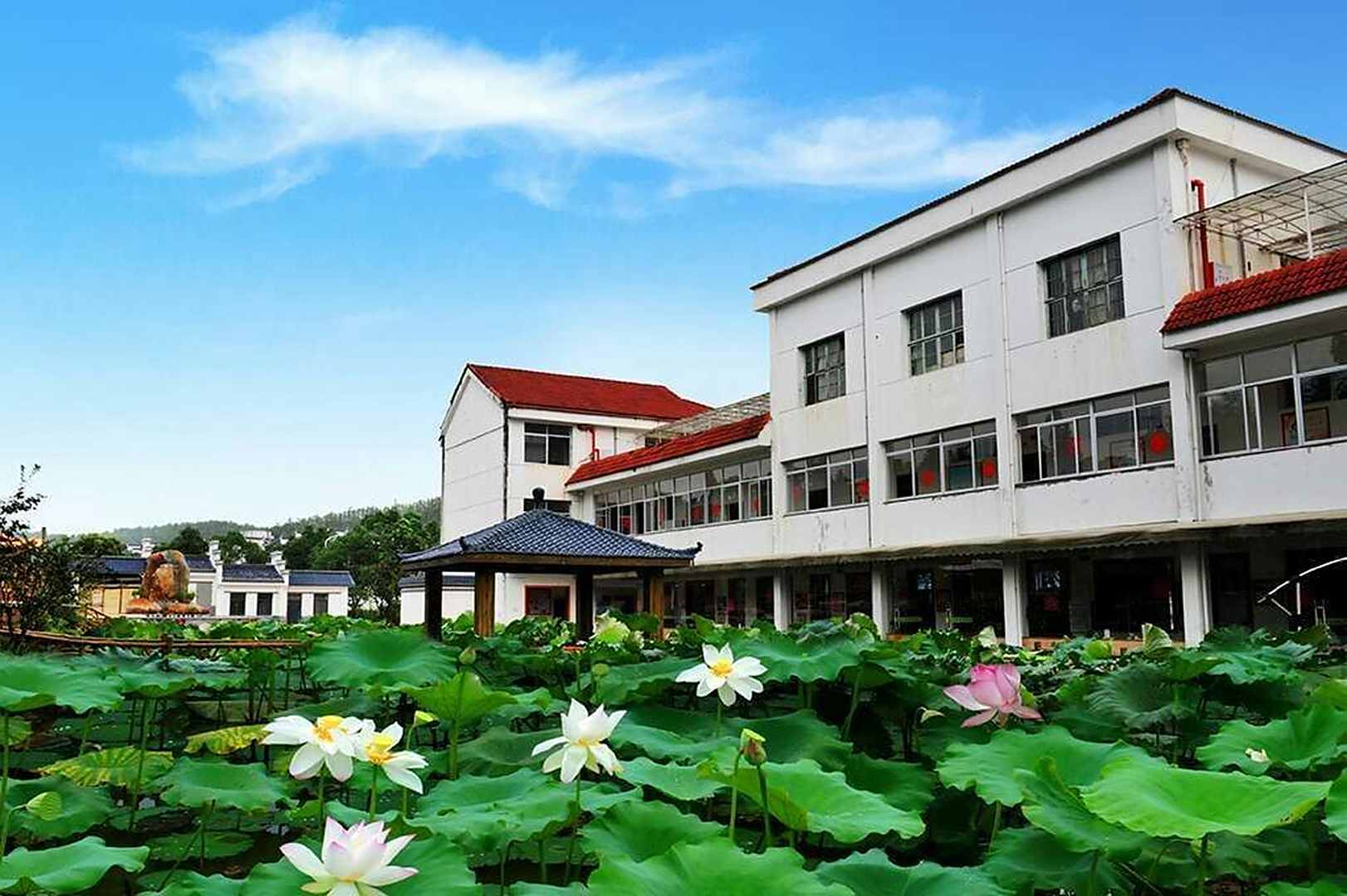 泰宁大金湖国德山庄