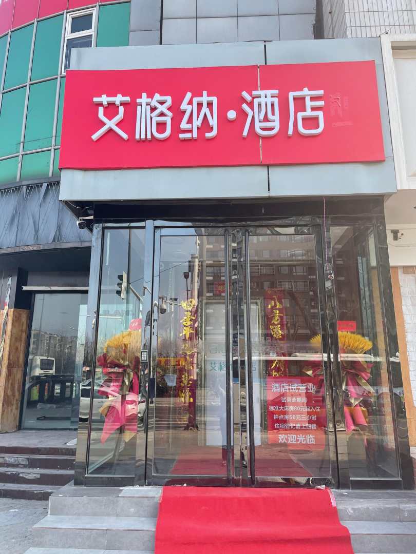 艾格纳